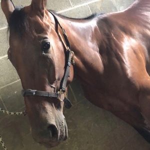 Meet your Posher, Jocelyn